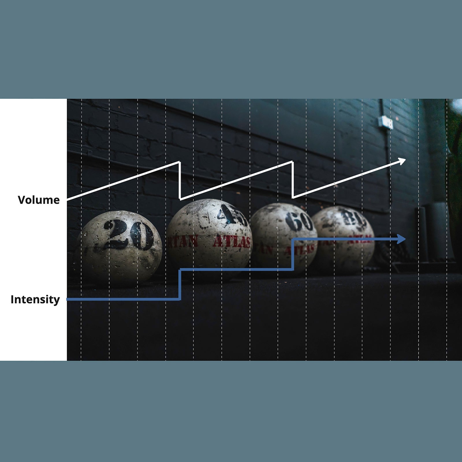 PERIODIZATION 3/10: DOUBLE PROGRESSION by Shane Robert - Verse Fitness