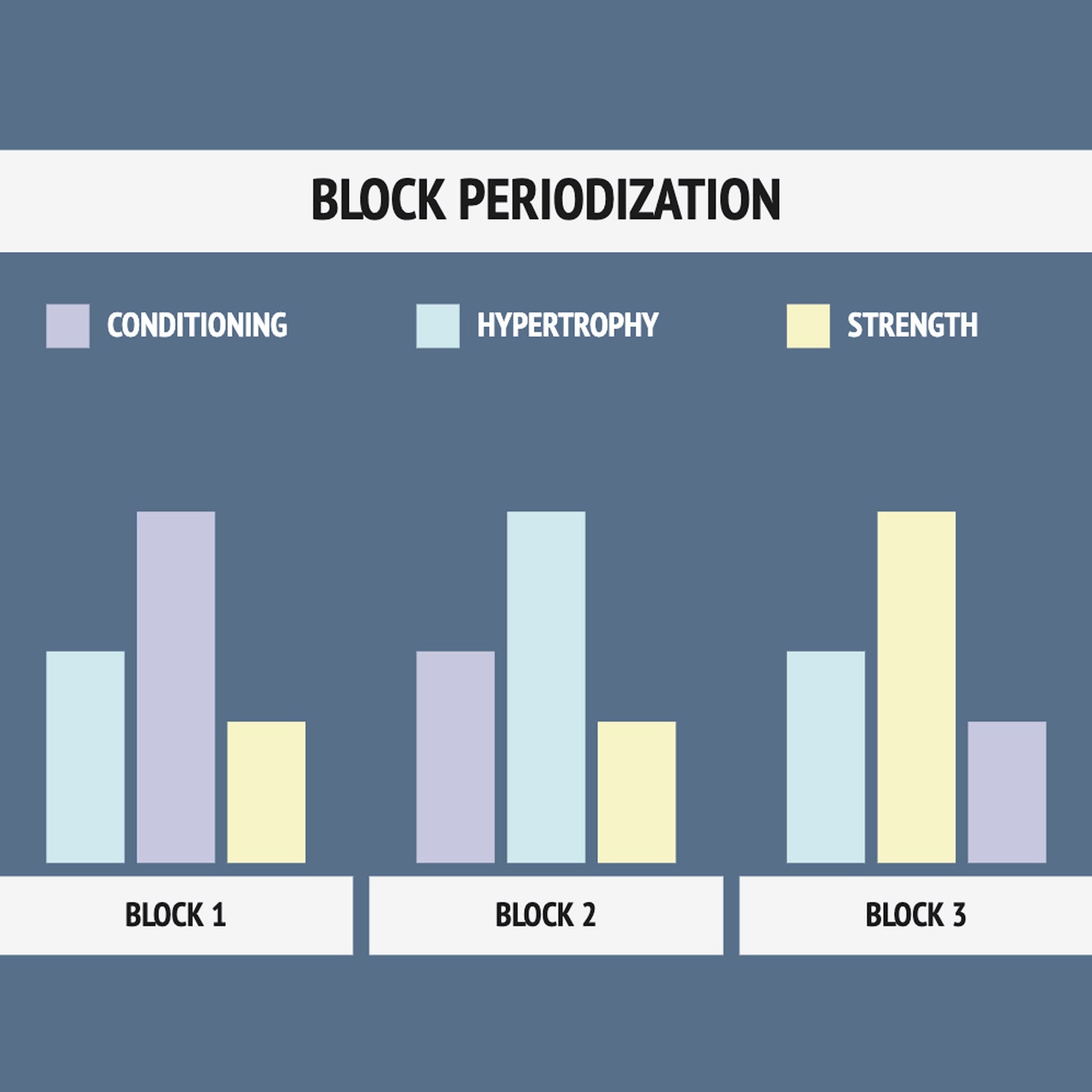 PERIODIZATION 4/10: BLOCK PERIODIZATION by Shane Robert - Verse Fitness