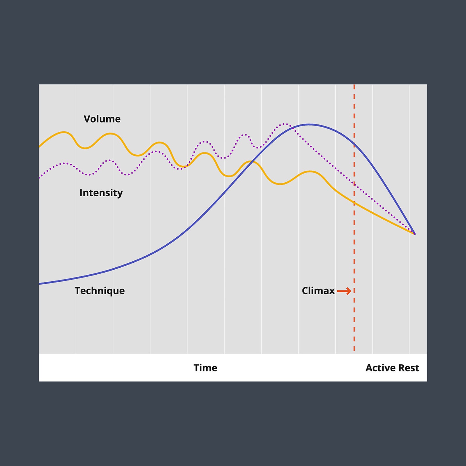 PERIODIZATION 7/10: NON-LINEAR PERIODIZATION by Shane Robert - Verse Fitness