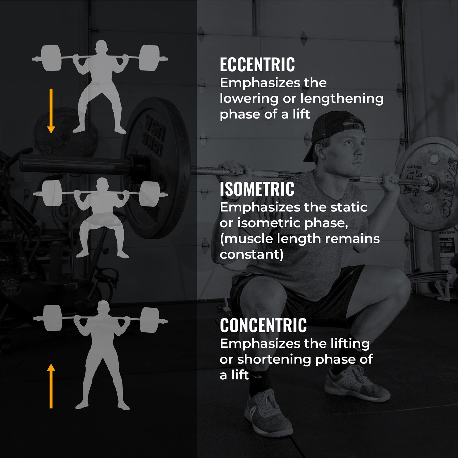 PERIODIZATION 6/10: TRIPHASIC TRAINING by Shane Robert - Verse Fitness