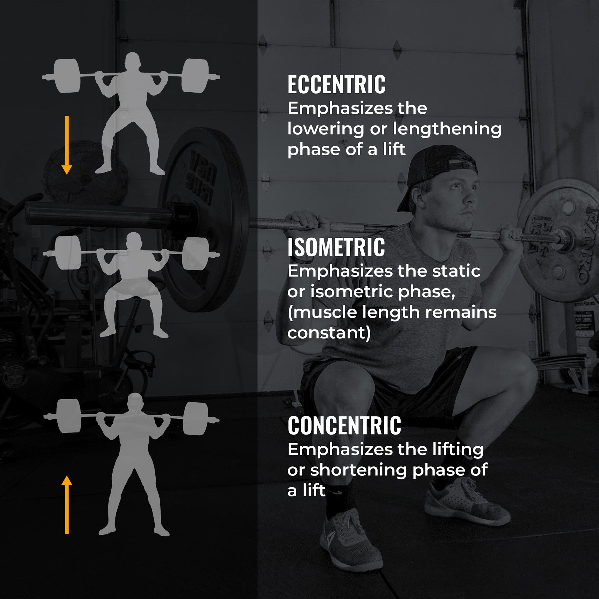 Triphasic Method Training PERIODIZATION 6/10: TRIPHASIC TRAINING by Shane Robert - Verse Fitness