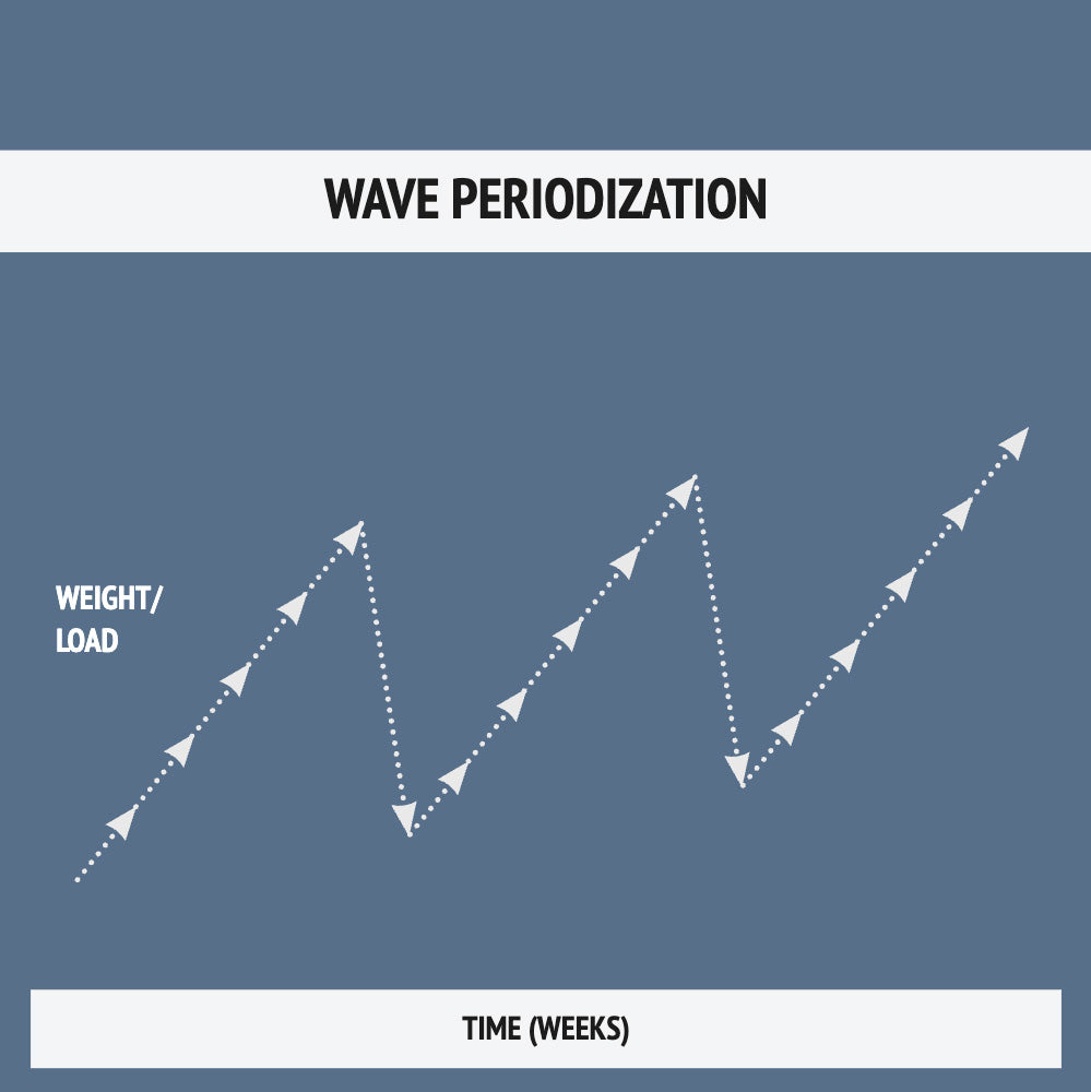 PERIODIZATION 9/10: WAVE PERIODIZATION by Shane Robert - Verse Fitness