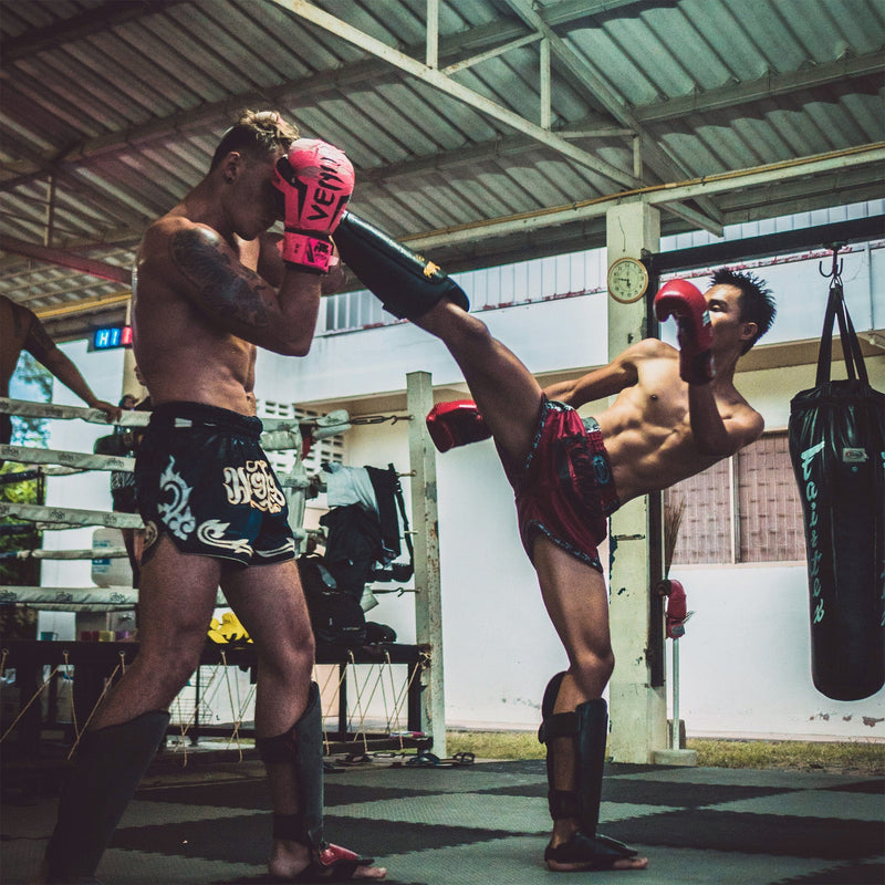 TRAINING FOR A FIGHT