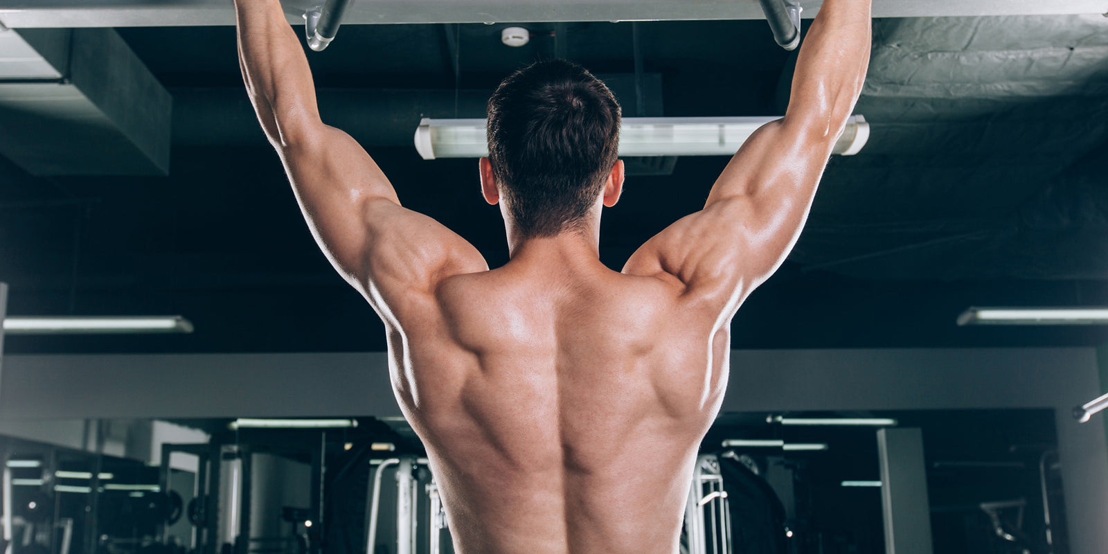 TRI-SET - Verse Fitness